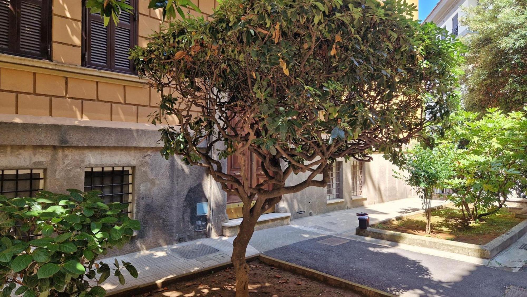 Borghese Magnolia Suite — Photos 1